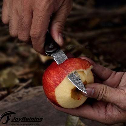 JoyRaining - LuckyStar - Handmade Damascus Pocket Knife - Small Vintage EDC Rosewood / Non-Locking Slip Joint Folding Knife for Men - Gentleman's Tool for Box Cutting & Daily Use - Unique Gift for Father / Men / Husband / Elder