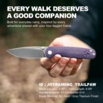 Trailpaw Folding Pocket Knife, D2 Steel Grey Titanium Blade, Ceramic Ball Bearing Pivot, Purple 3D Contoured G10 Handle, Liner Lock EDC Utility Knife, Dog-Walk Everyday Carry Companion