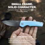 Joyraining Cub Folding Pocket Knife, D2 Steel Grey Titanium Blade, Blue 3D Contoured G10 Handle, Ceramic Ball Bearing Liner Lock EDC Knife, Compact Everyday Carry Pocket Knife